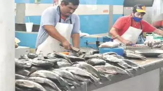 Acuicultores reportan que este año produjeron cuatro toneladas, cuando en 2019 obtuvieron hasta 12. Foto: Juan García.