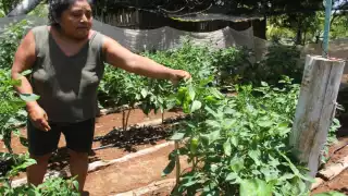 Foto: Justino Xiu Chan