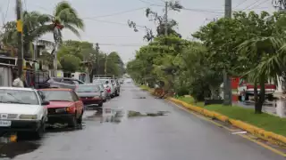 Fotos: Erick Marfil.