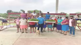 Programas como Sembrando Vida y Construyendo el Futuro han compensado el problema, señalan