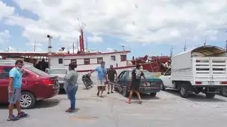 Reportan rezago en la captura del pulpo en Progreso