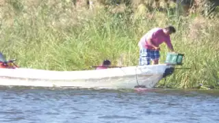 Esta actividad ha mermado la flora y fauna del Río Candelaria. Foto: Emmanuel Pérez.