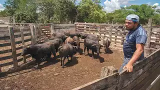 Fotos: Cuauhtémoc Moreno