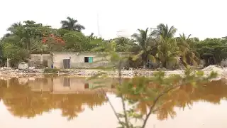 Foto: Enrique Osorno