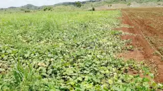 Foto: José Manrique Euán Martín