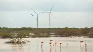 La entidad ocupó el primer lugar en empleo. Foto: Enrique Osorno.