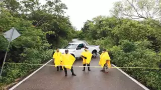 Seis de los feminicidios registrados hasta el momento fueron consumados. Foto: Por Esto!