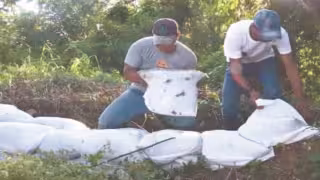 En Mariche y La Reveza, se reforzó parte de la contención colapsada.