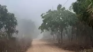 Piden evitar la automedicación en caso de presentar síntomas de alguna enfermedad respiratoria.