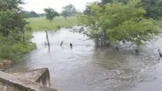 La ciudadanía monitorea los efectos ocasionados por las lluvias. Foto: José Valencia.