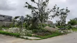 Denuncian el aumento de basureros clandestinos en Playa del Carmen