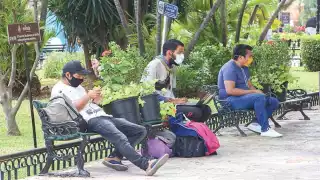 A pesar de que existen 9 denuncias en la FGE, el sitio digital “Packs de México” no ha sido inhabilitado. Foto: Luis Payán.