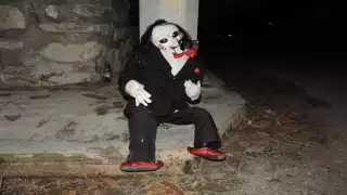 Foto: H Ayuntamiento Chicxulub Pueblo en Facebook