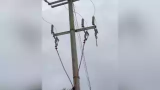 Durante la semana pasada se reportó la caída del cable de un
poste frente al faro.