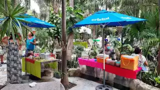 Fotos: Sandy Márquez