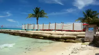 Foto: Víctor Ávalos