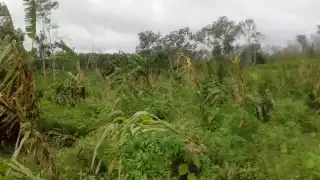 La zona de Los Chunes registró gran parte de las afectaciones.Foto: Justino Xiu Chan.