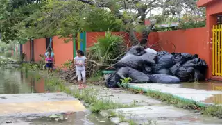Aseguran que en los 25 días que han asumido el trabajo de la concesionaria, han logrado limpiar la ciudad. Foto: Erick Marfil.
