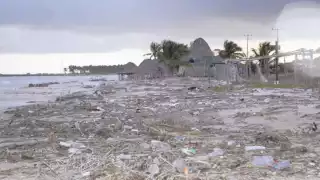Botellas, bolsas, algas y sargazo cubren la arena. Foto: Jorge Jiménez.