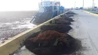 Foto: Abraham Cohuó