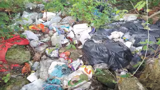 Pobladores de Tizimín piden sanciones para quien tire basura en la calle