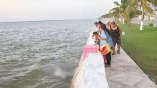 Foto: Jorge Jiménez