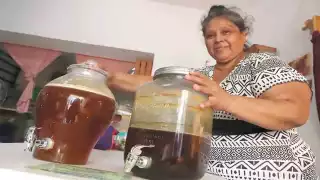 Pese a las inundaciones, apicultora de Xcunyá logró salvar a sus abejas meliponas