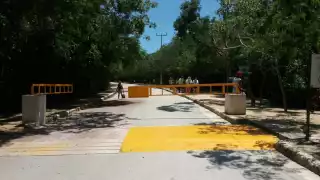 Foto: Miguel Améndola