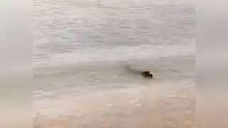 Foto: José Valencia