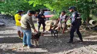 Interponen denuncia por envenenamiento de perros en Hunucmá