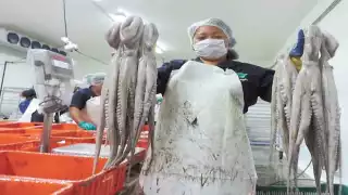 El precio del marisco se incrementó a 100 pesos esta semana.