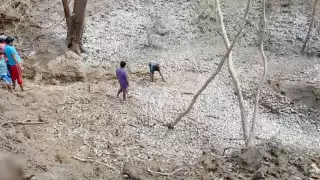 Las fuertes corrientes arrastraron a miles de mojarras.