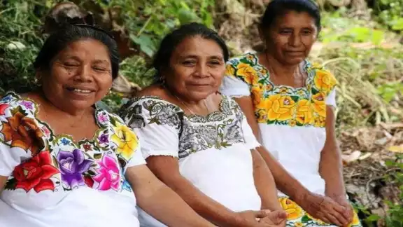 Ya se confirmaron 2 mil 11 casos de COVID-19 entre la población maya de Yucatán. Foto: Internet. Ya se confirmaron 2 mil 11 casos de COVID-19 entre la población maya de Yucatán. Foto: Internet.