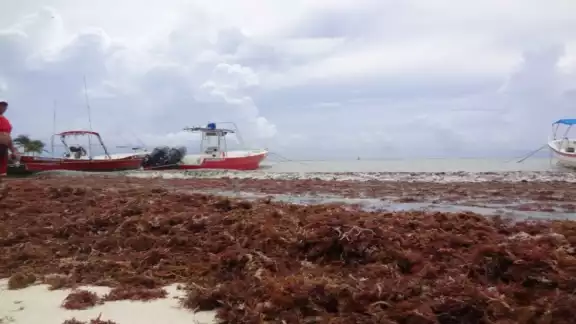 Foto: Por Esto!