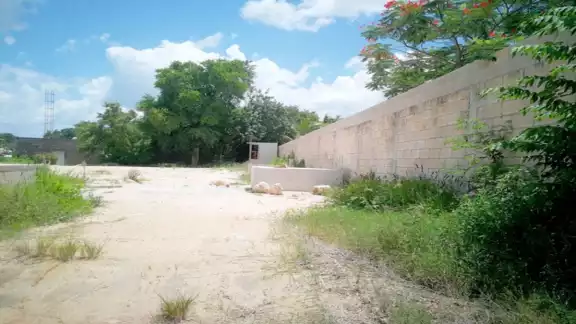 Foto: Jorge Aké Gutiérrez