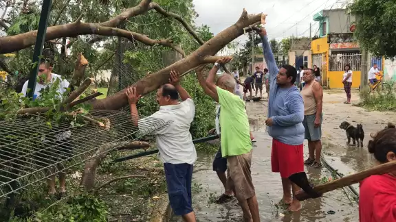 Vecinos se unieron para limpiar los destrozos que se originaron por el Huracán Delta. Foto: Mario Hernández. Vecinos se unieron para limpiar los destrozos que se originaron por el Huracán Delta. Foto: Mario Hernández.