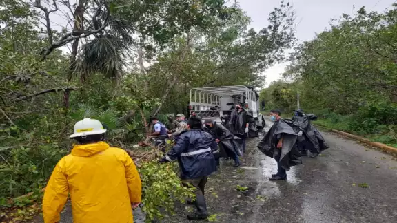Los elementos realizaron el levantamiento y podado de árboles. Foto: Ovidio López. Los elementos realizaron el levantamiento y podado de árboles. Foto: Ovidio López.