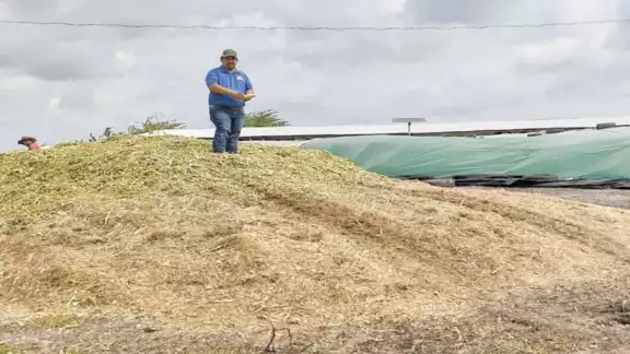 Desidiero Ordoñez señaló que la incorporación al programa Sembrando Vida contribuyó a reactivar el campo. Foto: Emmanuel Pérez.