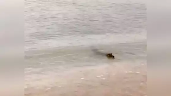 Foto: José Valencia