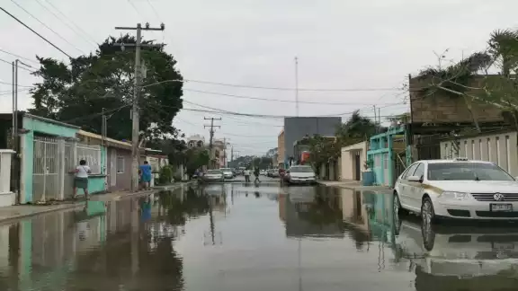Las rachas de viento ocasionaron un paisaje de árboles y ramas caídos por todo el municipio. Foto: Brian Lara. Las rachas de viento ocasionaron un paisaje de árboles y ramas caídos por todo el municipio. Foto: Brian Lara.