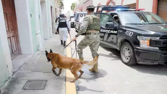 Advierten a las autoridades locales que de no coordinar esfuerzos con el Gobierno Federal, la presencia de cárteles será incontrolable. Foto: Por Esto! Advierten a las autoridades locales que de no coordinar esfuerzos con el Gobierno Federal, la presencia de cárteles será incontrolable. Foto: Por Esto!