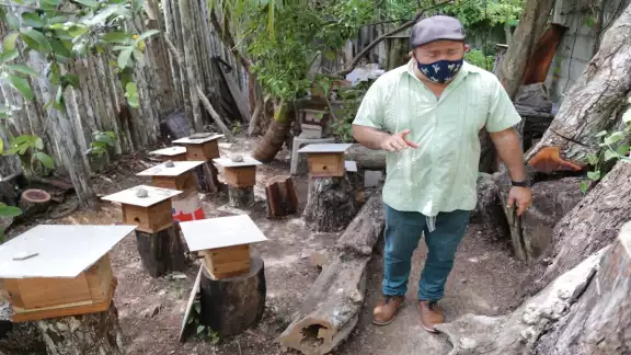 Una iniciativa para la protección y conservación de la
abeja melipona está entre las afectadas. Foto: Erick Marfil. Una iniciativa para la protección y conservación de la
abeja melipona está entre las afectadas. Foto: Erick Marfil.