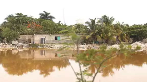 Foto: Enrique Osorno