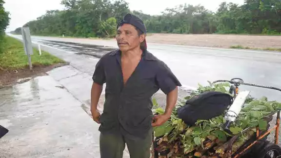 Esperan que no se elimine el acceso la zona de los sembradíos, porque es el único sustento que tienen. Fotos: Cuauhtémoc Moreno. Esperan que no se elimine el acceso la zona de los sembradíos, porque es el único sustento que tienen. Fotos: Cuauhtémoc Moreno.