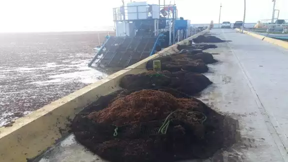 Foto: Abraham Cohuó