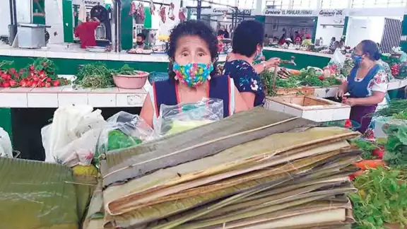 La hoja de plátano se está comercializando a 20 pesos en el mercado de Tizimín. Foto: Raquel Margarita Huerta. La hoja de plátano se está comercializando a 20 pesos en el mercado de Tizimín. Foto: Raquel Margarita Huerta.