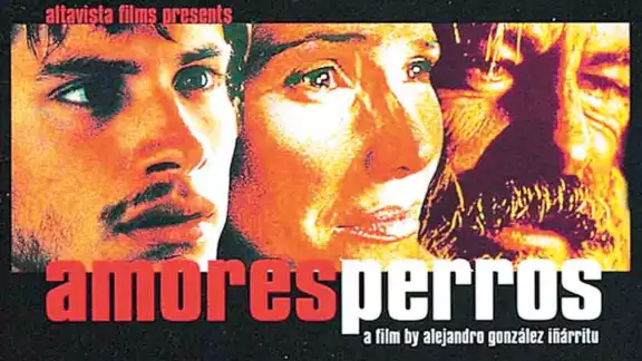 La cinta "Amores Perros" obtuvo 45 premios y una nominación al Óscar en el 2000. Foto: Especial. La cinta "Amores Perros" obtuvo 45 premios y una nominación al Óscar en el 2000. Foto: Especial.