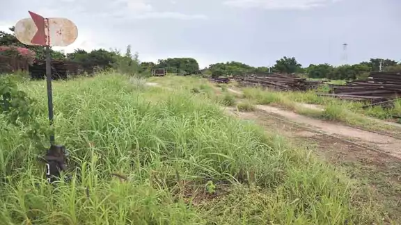 Advierten del riesgo de hundimientos en obras para colocar una estación del Tren Maya por el tipo de suelo que predomina en Yucatán. Foto: Por Esto! Advierten del riesgo de hundimientos en obras para colocar una estación del Tren Maya por el tipo de suelo que predomina en Yucatán. Foto: Por Esto!