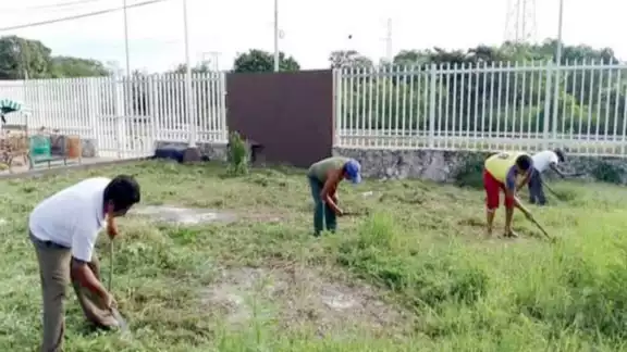 Los empleados realizan las labores de chapeo. Los empleados realizan las labores de chapeo.