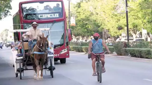 Paseo de Montejo es la avenida más emblemática de Yucatán Paseo de Montejo es la avenida más emblemática de Yucatán